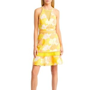 Adelyn Rae Dress Floral Embroidery Detail Yellow and Peach Dress. Beautiful!